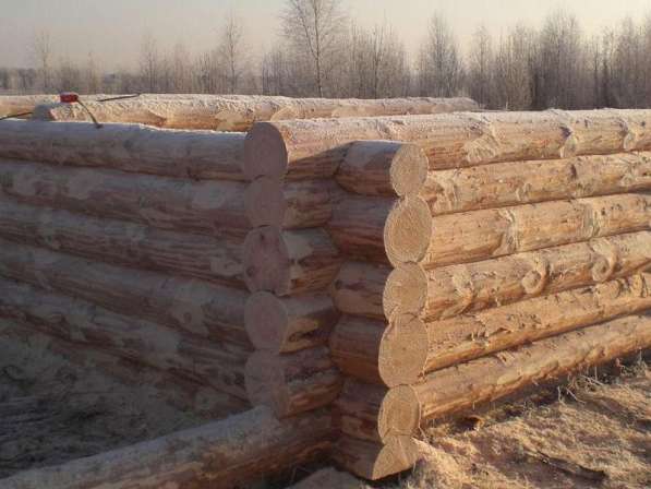 Строительство срубов в Москве фото 3
