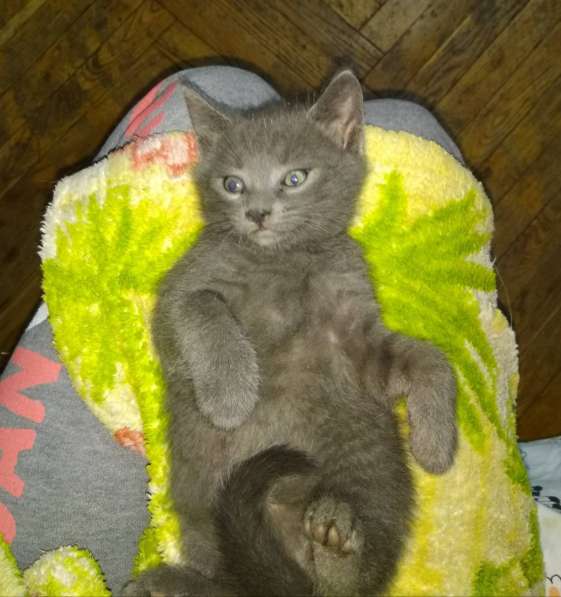 Счастье в дом в фото 3