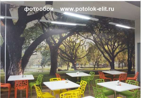 Фотообои со скидкой в Москве фото 6