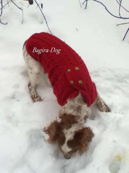 Свитера для собак ручной работы в Москве фото 66