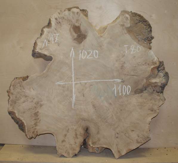 Продам слэбы поперечного капового тополя, Вл 8-10% в Москве фото 3