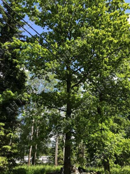 realty_mapper3.plot_in_locationПлощадь 42.00 сот.Есть Газ, Водопровод. в Москве фото 4