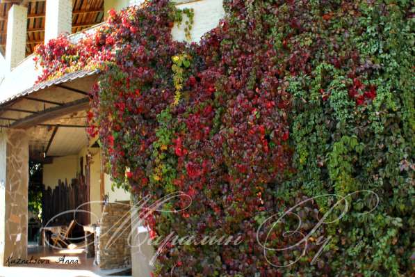 Продам дом в Ростов-на-Дону.Жилая площадь 500 кв.м. в Ростове-на-Дону