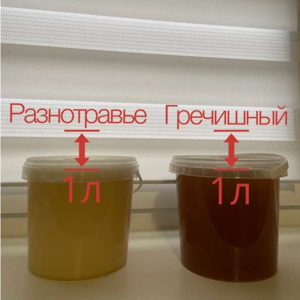 Мёд разнотравье гречишный в Красноярске