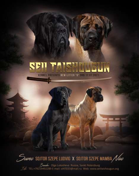 ТОСА ИНУ(японский мастиф) в Казани фото 4