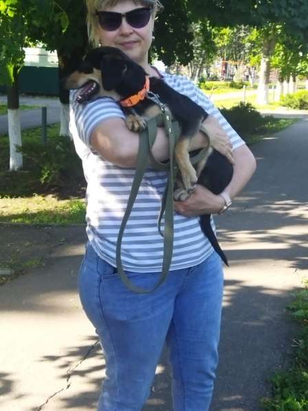 Маленькая собачка Джессика ищет семью! Вес 8 кг в Москве фото 3