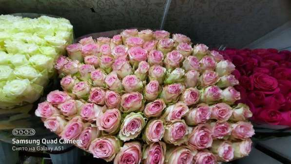 Роза букеты и многое другое есть доставка в Ростове-на-Дону фото 6