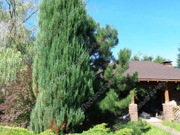 Продам коттедж в Горки-2.Жилая площадь 400 кв.м.Есть Канализация, Водопровод. в Горках-2 фото 15