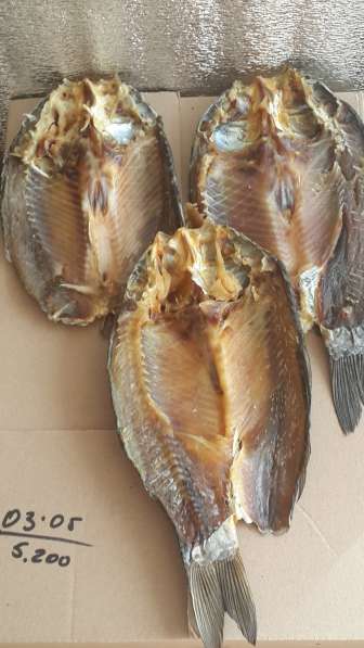 Рыбный цех г. Шахты реализует вяленую рыбу оптои и в розницу в Шахтах