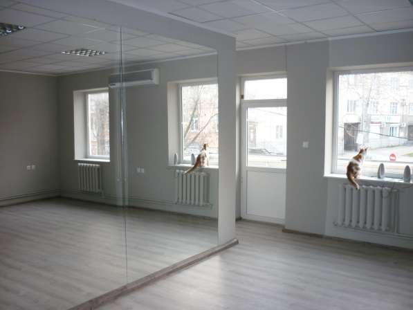 Офисное помещение 140 м2 в Таганроге фото 7