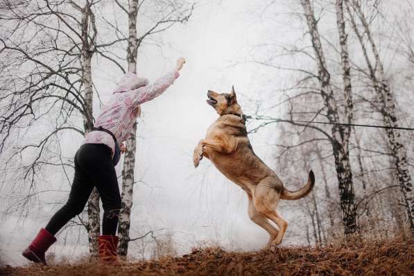 Большой добрый Борман ищет семью в Москве фото 14