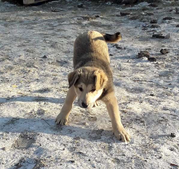 Нэнси мечтает о маме и папе в Москве