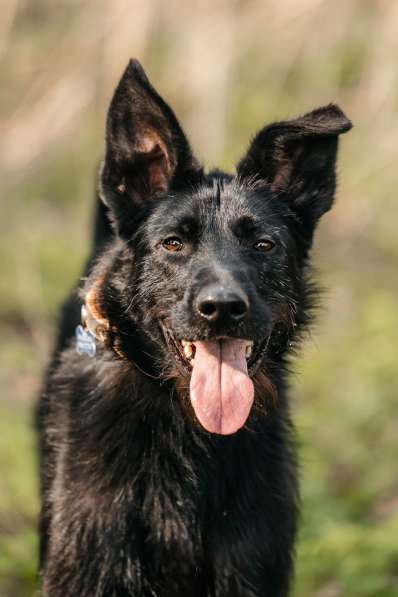 Заберите меня, пожалуйста в Москве фото 9