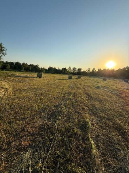 Сено в Вязьме