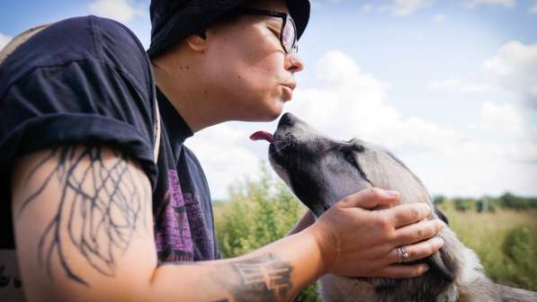 Суперактивная Халва в Москве фото 47