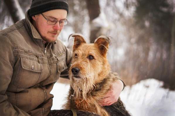 Мухтар ищет семью в Москве фото 36