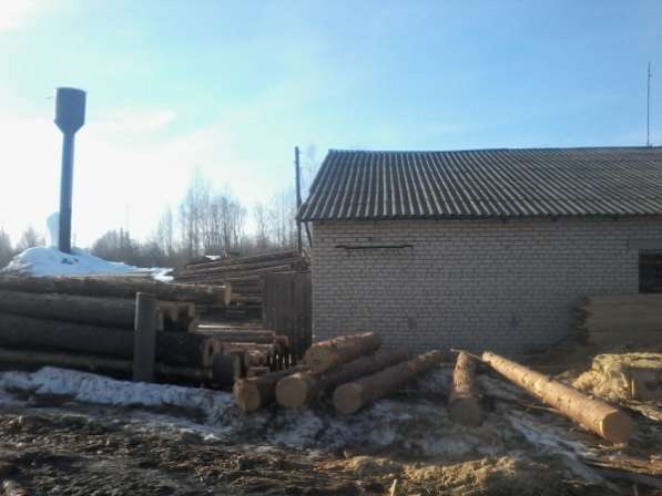 Лесопильное производство в Нижнем Новгороде