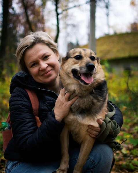 Хорошенькая, ласковая и любопытная собачка, 40 см в Санкт-Петербурге фото 11