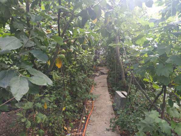 Ровный участок на 7км СТ Горнодолинный в Севастополе фото 19