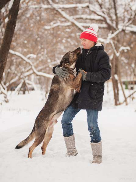 Надёжный Друг Курт ищет семью в Москве фото 26