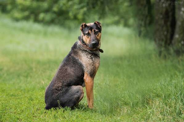 Брюс ищет семью в Москве фото 17