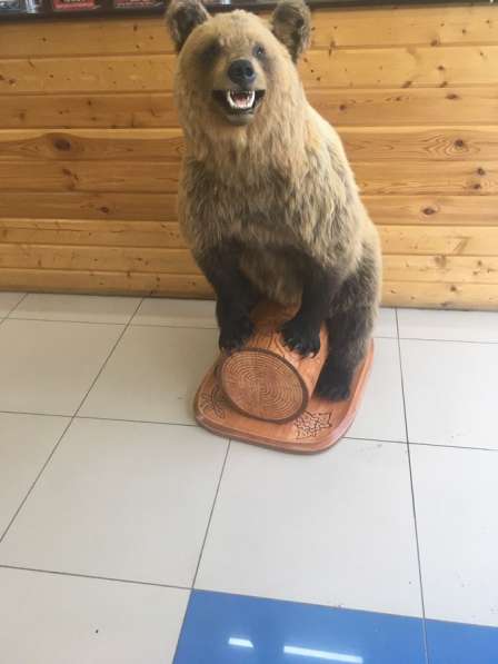 Чучело медведя в Перми фото 3