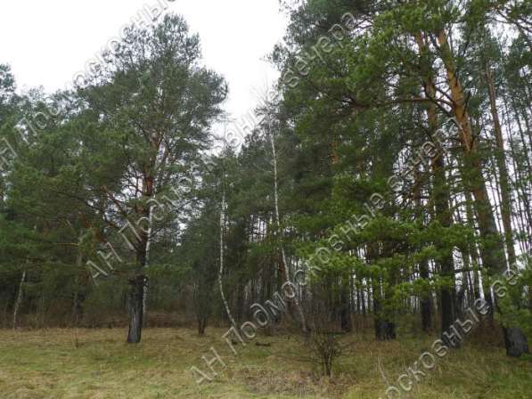 realty_mapper3.plot_in_locationПлощадь 31.00 сот.Есть Электричество, Газ. в Москве фото 5