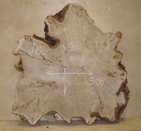 Продам слэбы поперечного капового тополя, Вл 8-10% в Москве фото 5