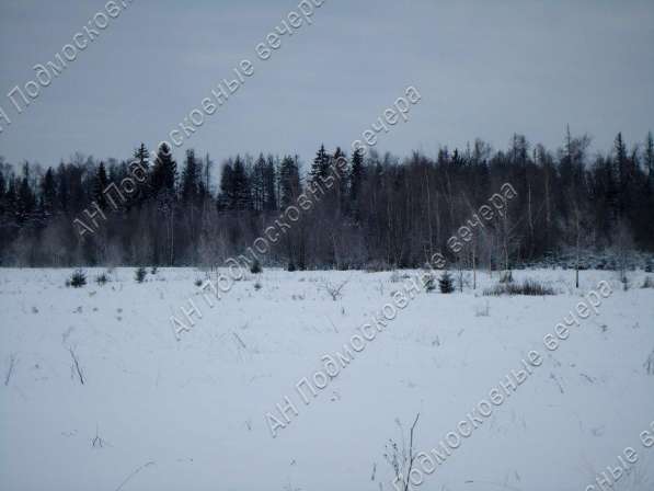 realty_mapper3.plot_in_locationПлощадь 253.00 сот.Есть Электричество, Газ. в Москве фото 24