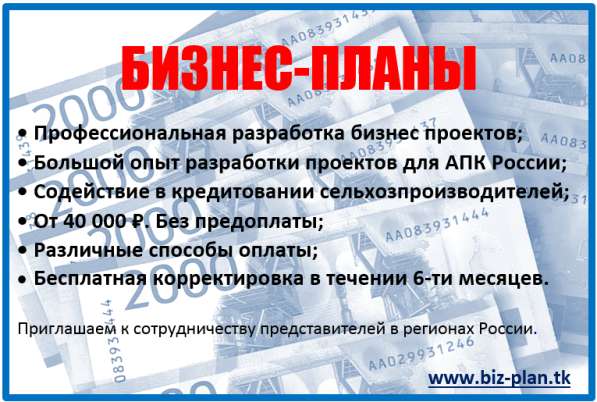 Бизнес планы в Ставрополе