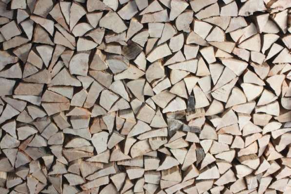 Продам дрова березовые