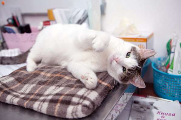 Хрупкая Киттари ищет до в Москве фото 5