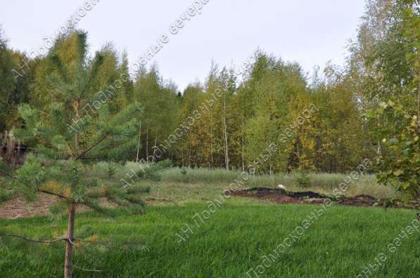 realty_mapper3.plot_in_locationИндивидуальное жилищное ст-во. Площадь 15.70 сот.Есть Водопровод. в Москве фото 13