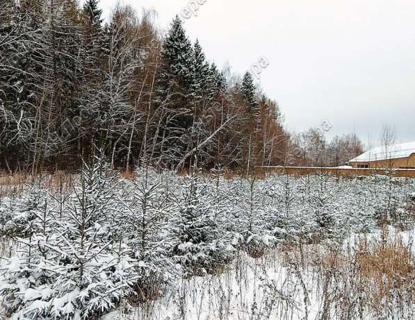 realty_mapper3.plot_in_locationИндивидуальное жилищное ст-во. Есть Электричество, Газ. в Москве фото 24