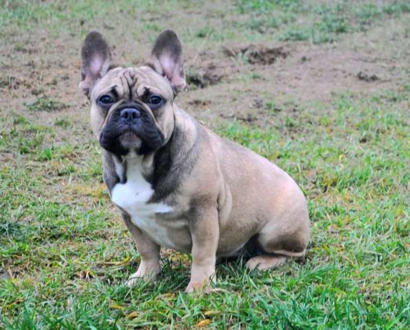 Подрощенная девочка в Москве