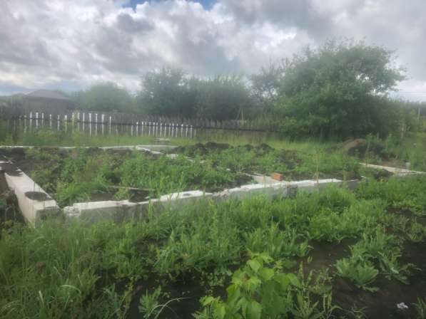 Продаю дачный участок