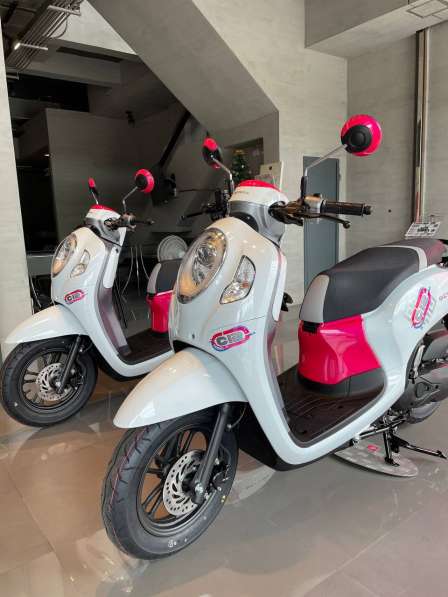 Honda Scoopy 110 см3 2023 года в аренду