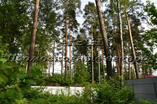 realty_mapper3.plot_in_locationСадовое некоммерческое тов-во. Площадь 30.00 сот.Есть Электричество. в Москве фото 8