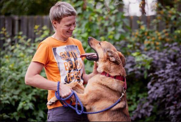 Хороший рыжий пес, лучший друг человека в Санкт-Петербурге фото 31