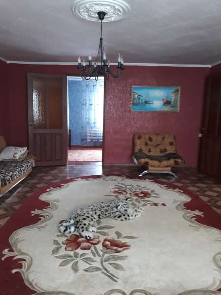 Срочно продам дом в Таганроге фото 12