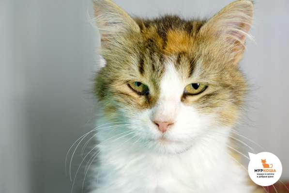 "Свой парень" Пташка в Москве фото 3