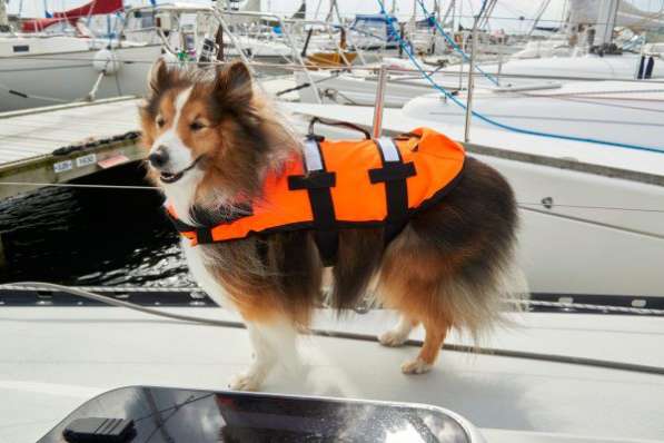 Спасательный жилет для собак весом 5-15 кг.швеция.