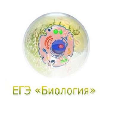 Репетитор по биологии