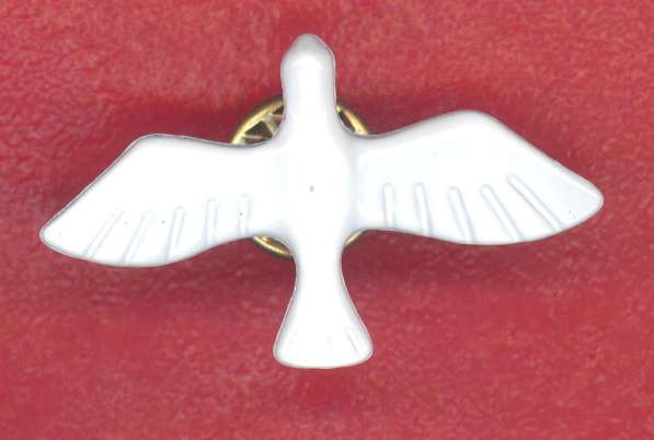 Мексика фрачный знак Paloma de la aerolinea авиация авиакомп в Орле фото 9