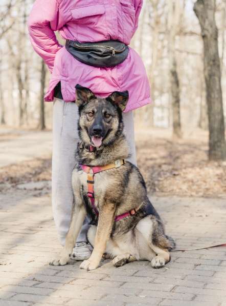 Ласковая и весёлая Мира в Москве фото 3