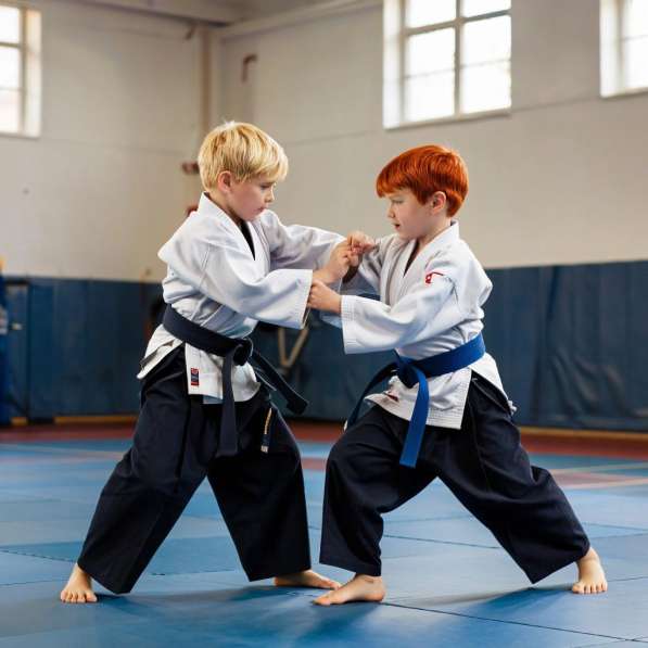 Айкидо для детей. Екатеринбург, Чкалова, 3 в Екатеринбурге фото 3