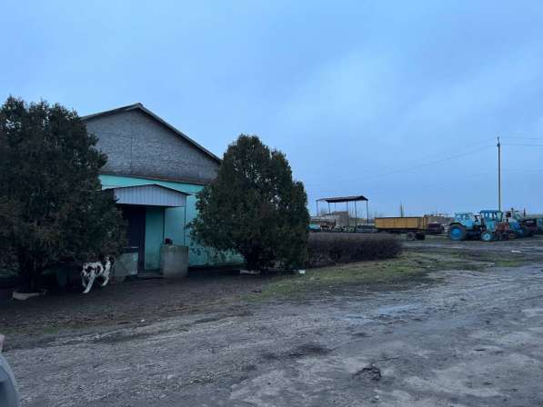Агроферма 4500 м. кв, Старобешево в фото 6