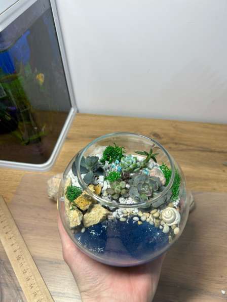 Флорариум с суккулентами в Москве