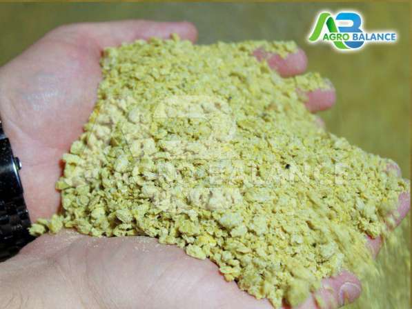 Жмых соевый ГОСТ от производителя в Краснодаре