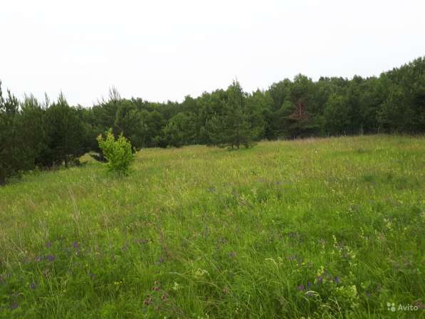 Участок 15 соток в Туле фото 12